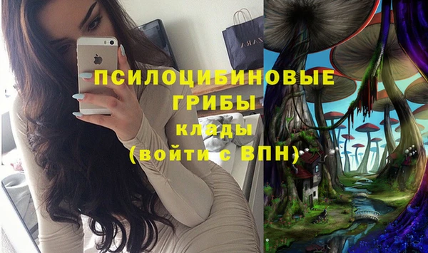 трава Инсар