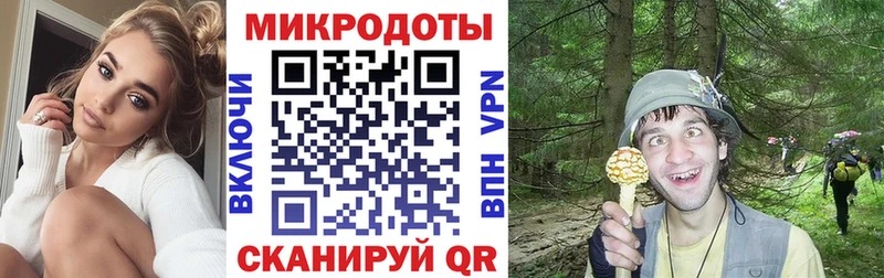 Купить закладки  Лебедянь  Псилоцибиновые грибы MAGIC MUSHROOMS 
